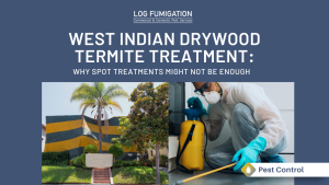 West Indian Drywood Termite treatment