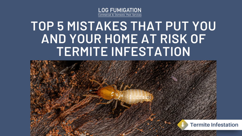 Top 5 mistakes that put you and your home at risk of termite infestation.
