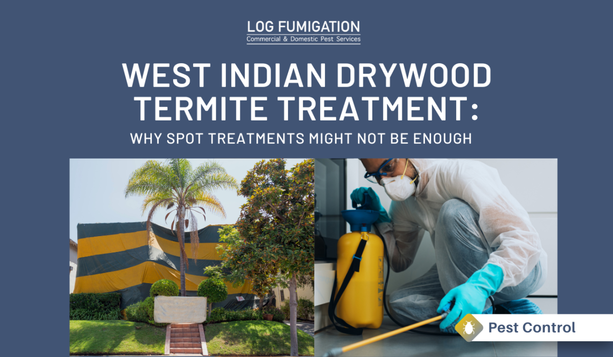 West Indian Drywood Termite treatment