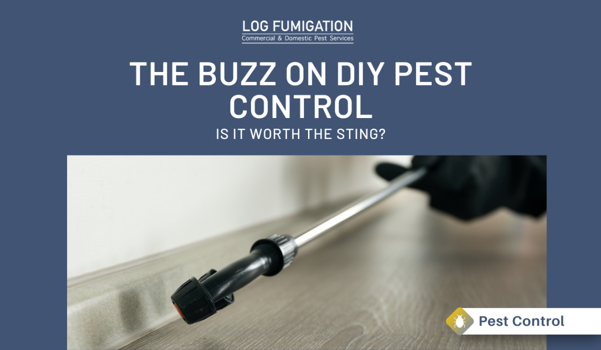 The buzz on DIY pest control - is it worth the sting?
