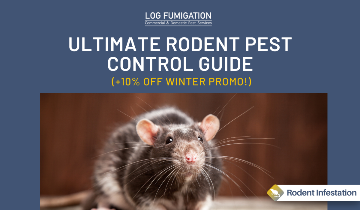 Ultimate rodent pest control guide - +10% off winter promo